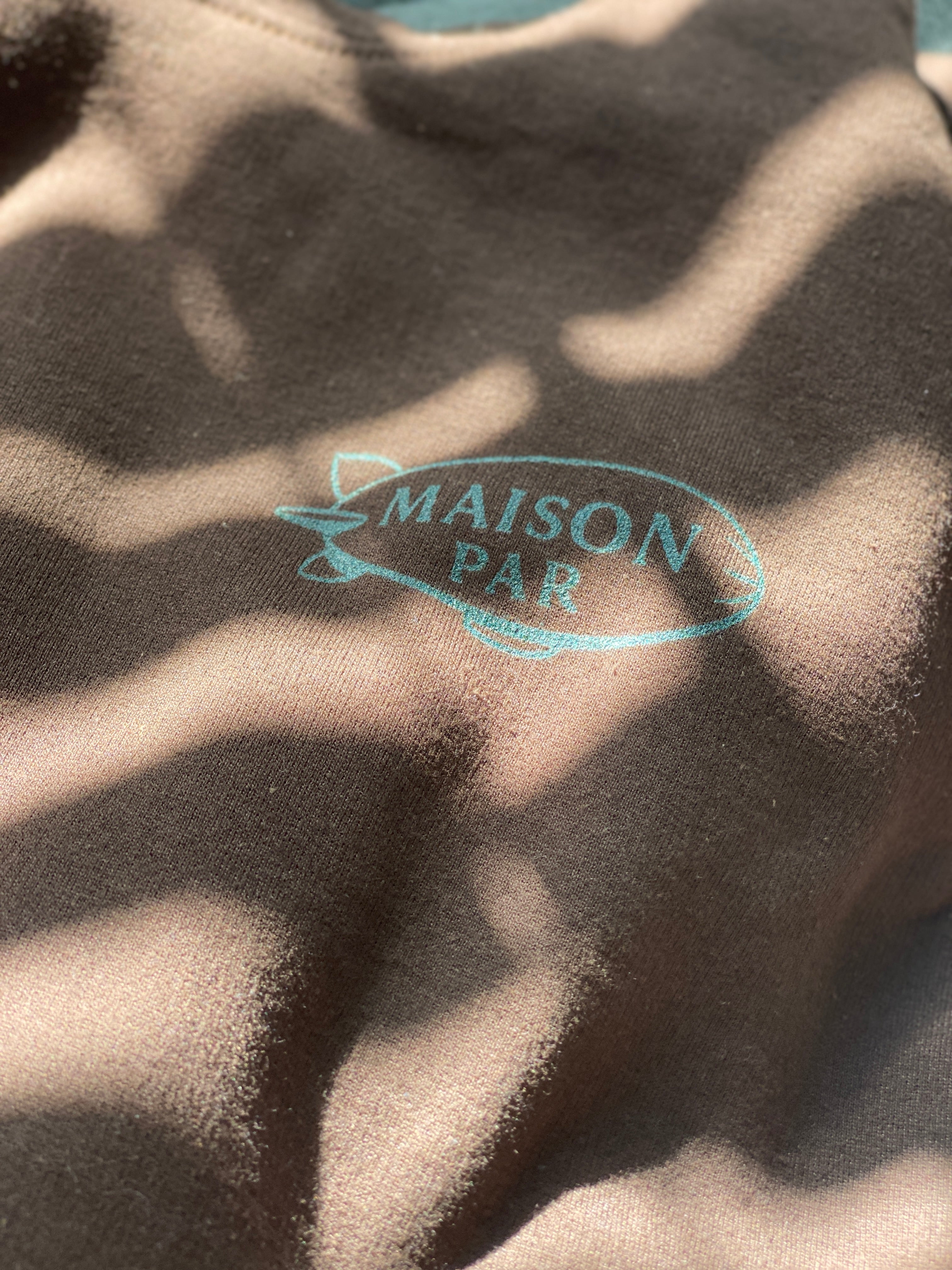 BIRDIES & BLIMPS HOODIE