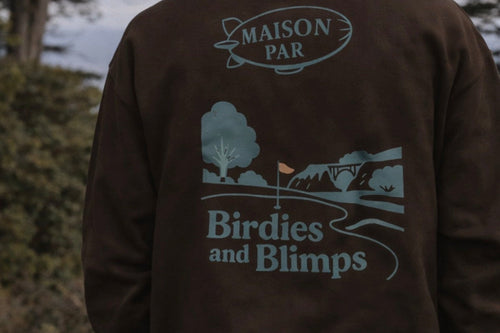 BIRDIES & BLIMPS HOODIE